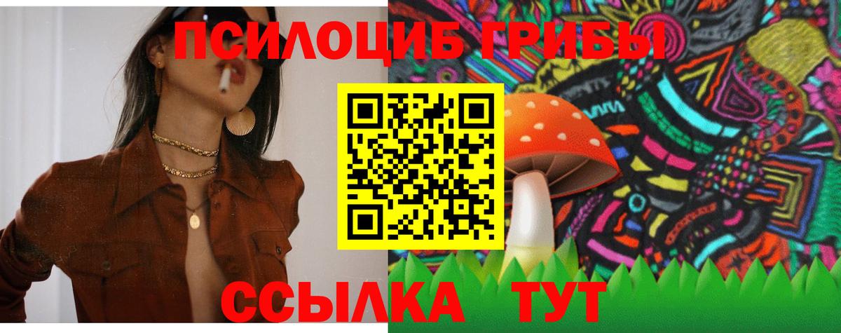 Галлюциногенные грибы ЛСД  Галлюциногенные грибы Psilocybe  Вход с VPN  Дзержинск 